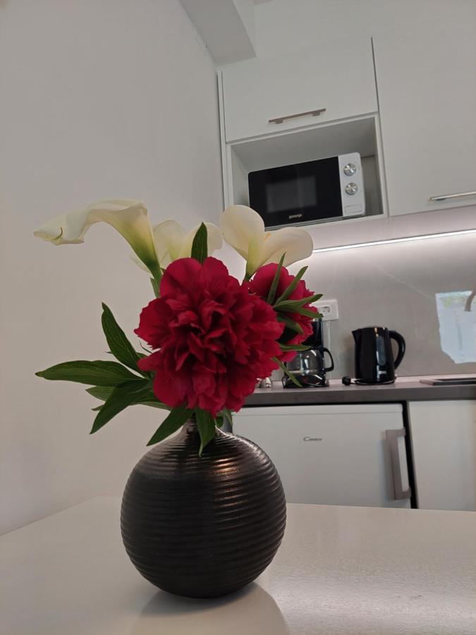 Apartment Mara 두브로브니크 외부 사진